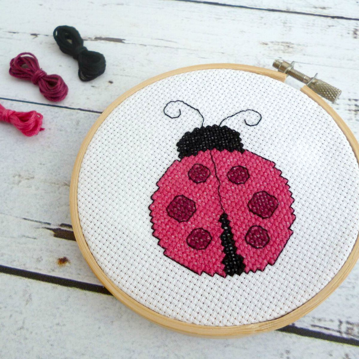 Learning to cross stitch [Part 1]